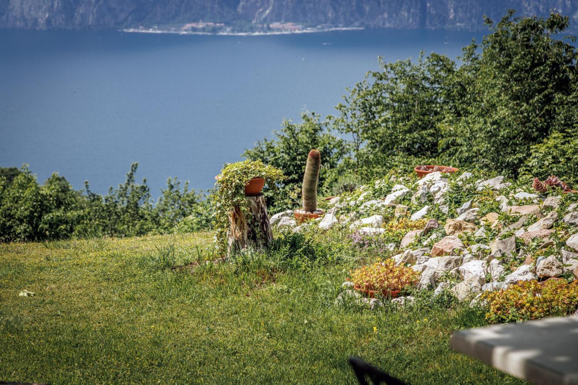 Agriturismo San Maggiore มัลเชซิเน ภายนอก รูปภาพ